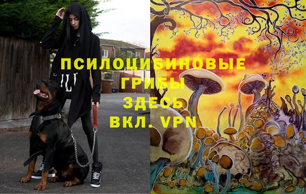 мяу мяу мука Алексеевка