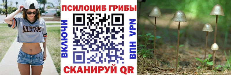 Псилоцибиновые грибы MAGIC MUSHROOMS продажа наркотиков Нижнеудинск